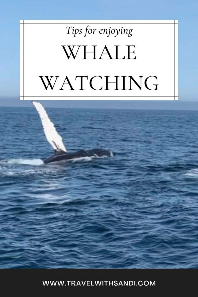 Tips For Whale Watching Trips