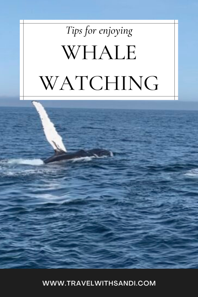 7 Tips For Whale Watching Trips