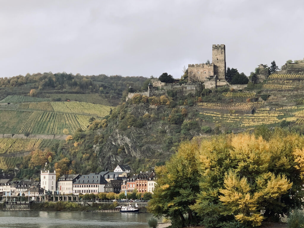 Rhine River Cruise