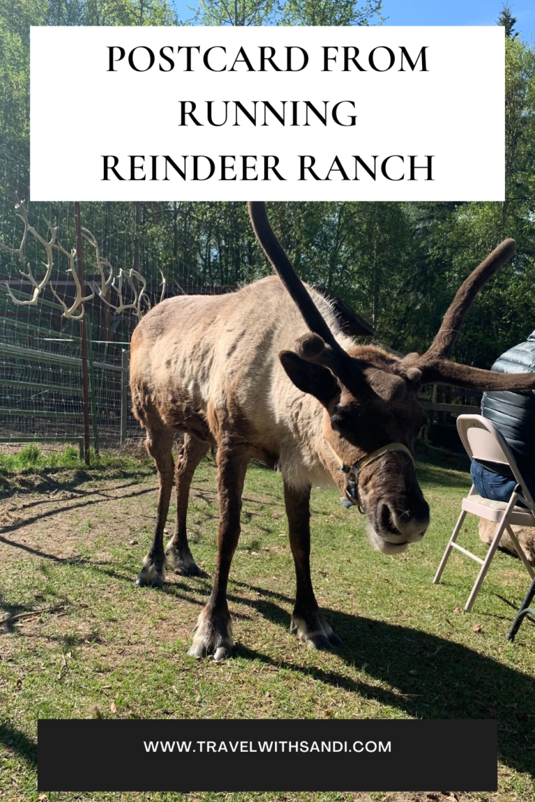 Visit Running Reindeer Ranch