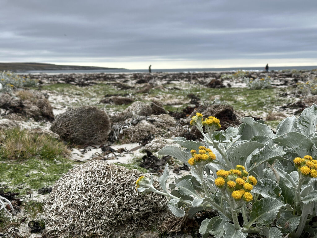 Port Stanley Falkland Islands