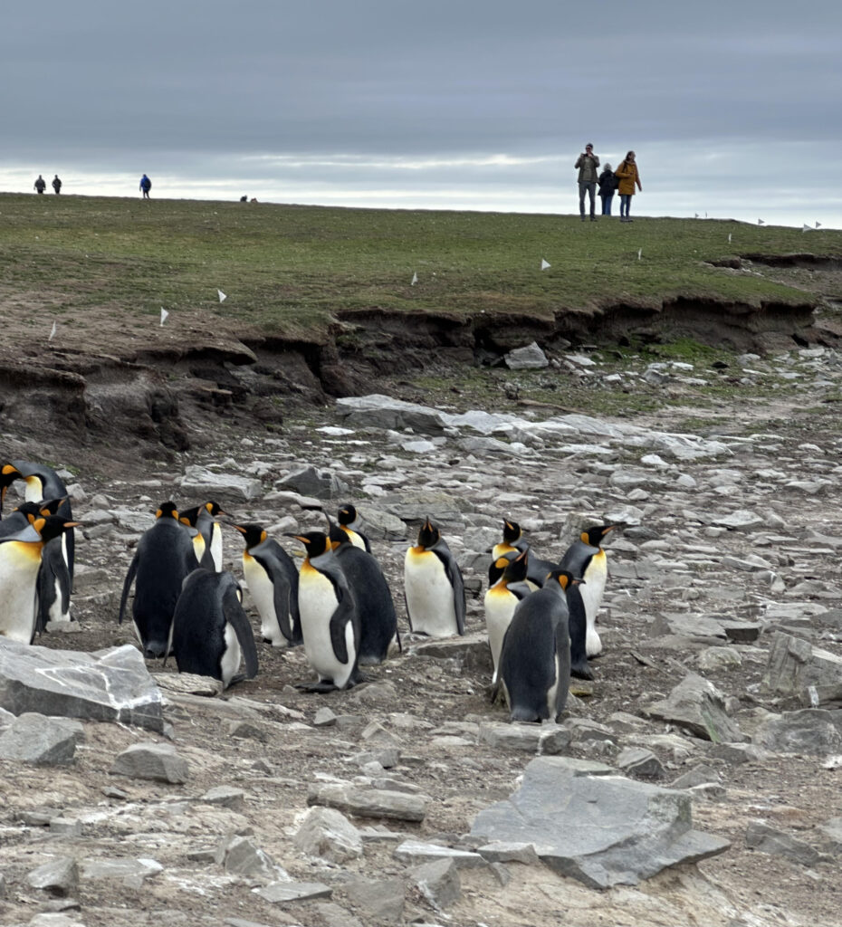 Port Stanley Falkland Islands